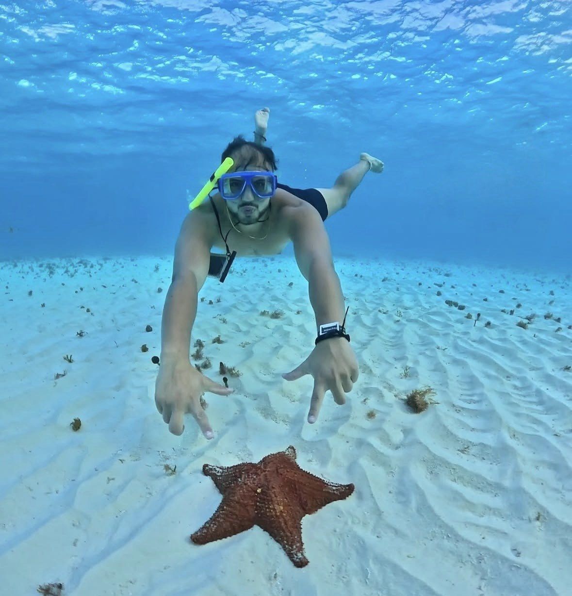 Freediver hovering over a red starfish on rippled sand, Icacos Island